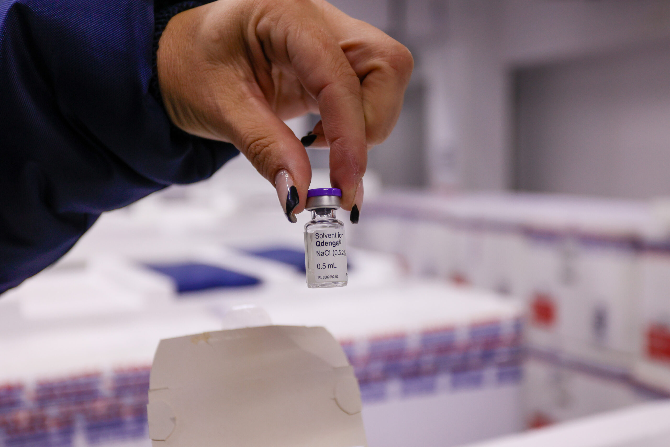 Apucarana e região vão receber vacina contra a Dengue