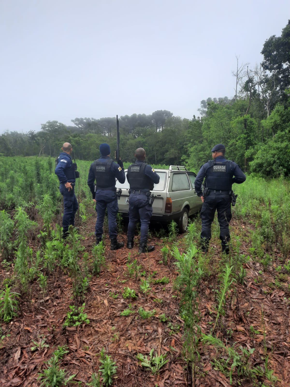 Guarda Civil Municipal recupera veículo furtado e detém suspeito em Apucarana