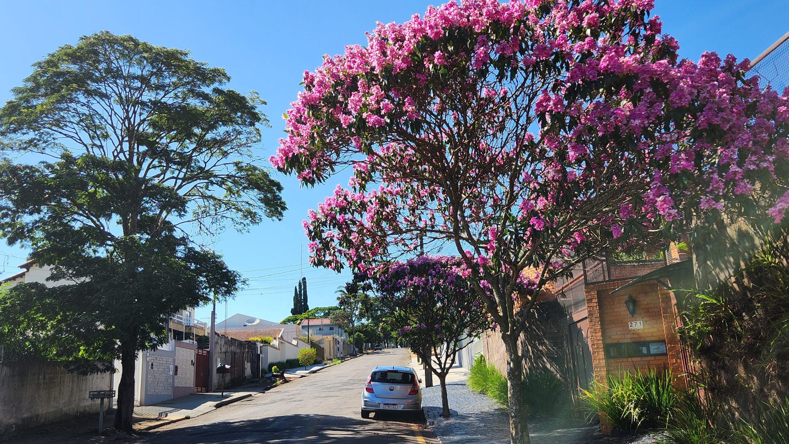 Previsão do Tempo para esta segunda-feira (16) em Apucarana e Região