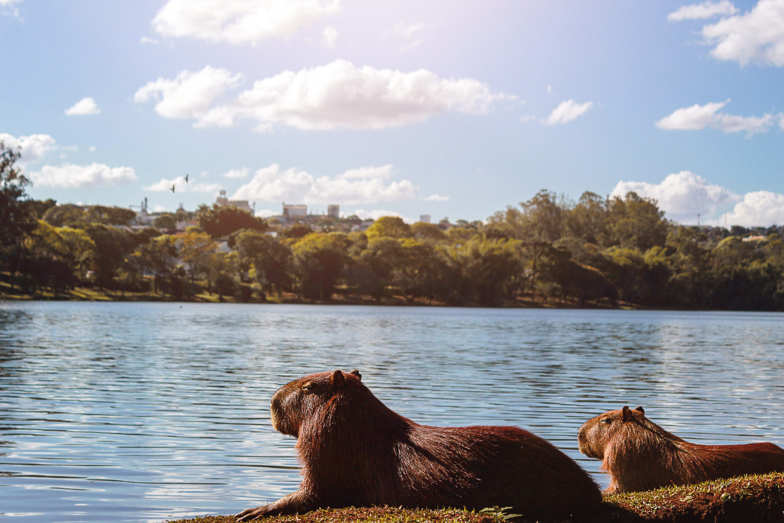 Paraná inicia mais uma semana com previsão de muito calor