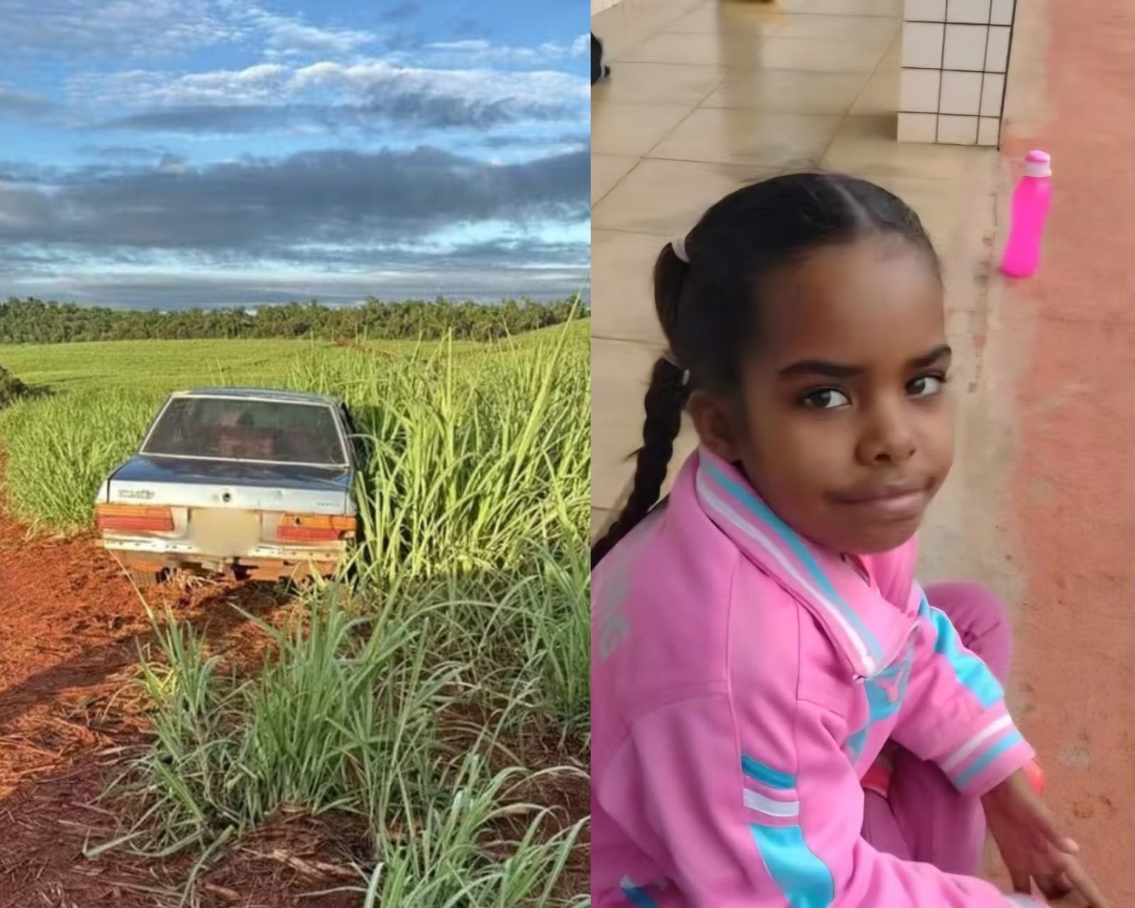 Menina de 8 anos é encontrada morta após sequestro em São Manoel do Paraná