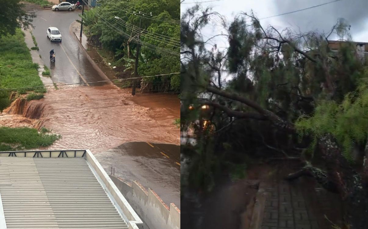 Temporal causa alagamentos, quedas de árvores e transtornos no trânsito em Apucarana