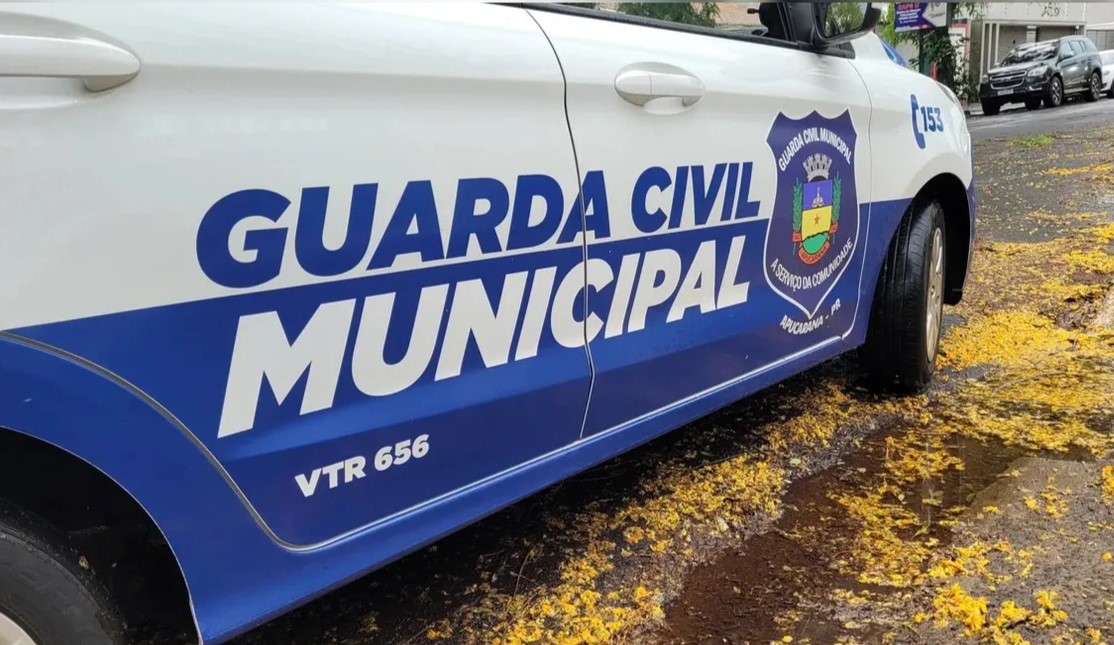 Final Feliz: Criança se perde da avó e GCM é chamada por lojista