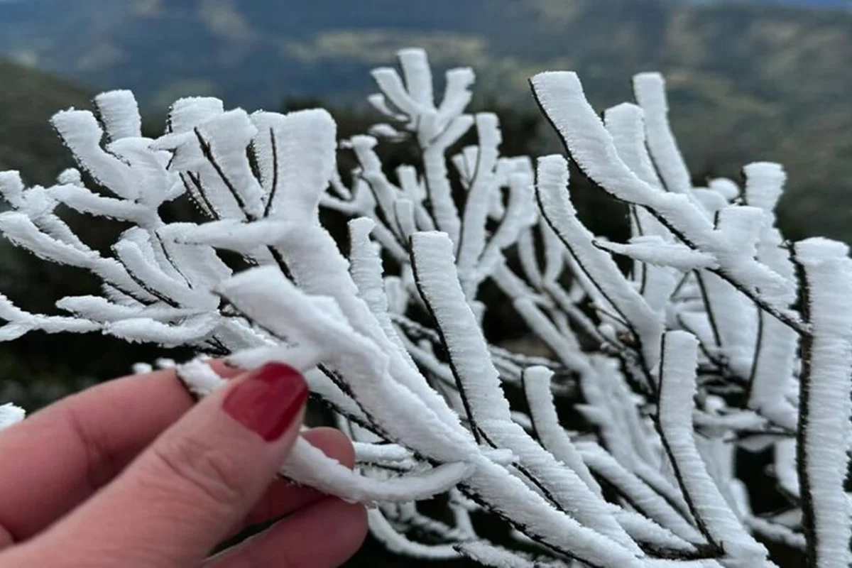 Santa Catarina registra -7,3 °C e tem o dia mais frio do ano no Brasil