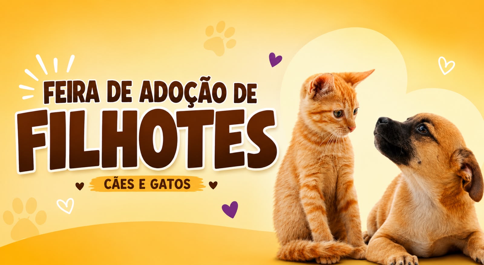 Feira de adoção de cães e gatos acontece neste domingo em Apucarana; veja como participar