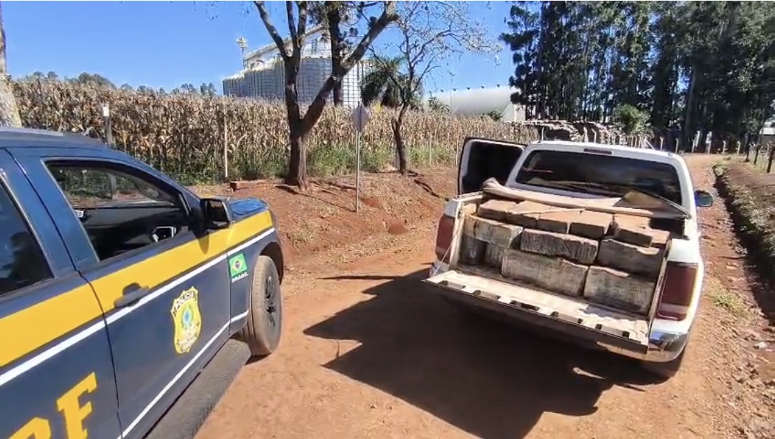 PRF apreende quase uma tonelada de maconha e recupera caminhonete furtada em Faxinal