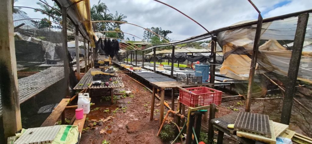 Temporal causa prejuízos de R$ 3,3 milhões no setor agropecuário de Apucarana