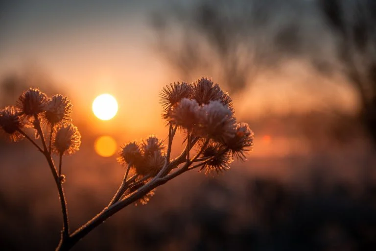 Sol volta a brilhar no fim de semana com previsão de geada no Paraná